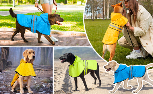 PawProof Gear
